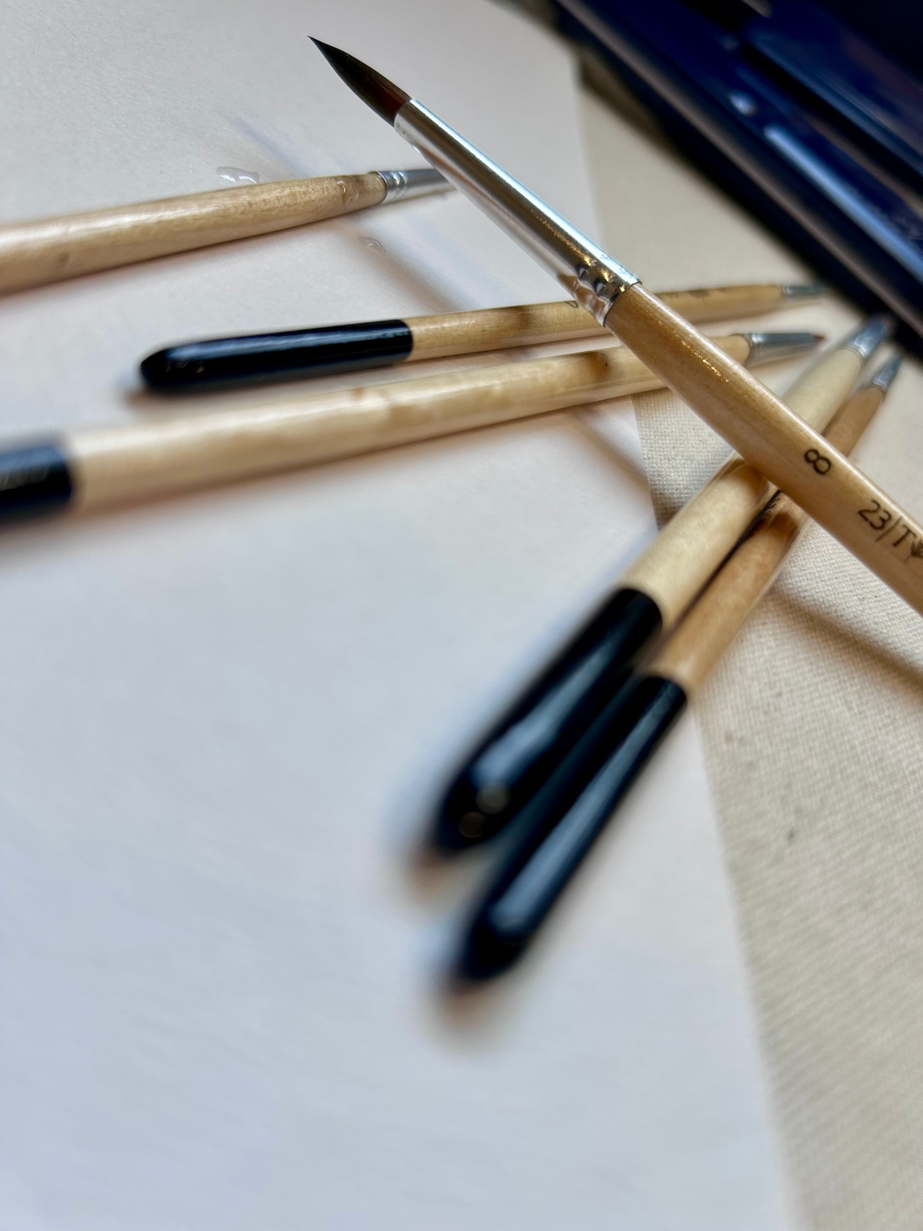 The Studio Essential 6 - Professional Brush Set
