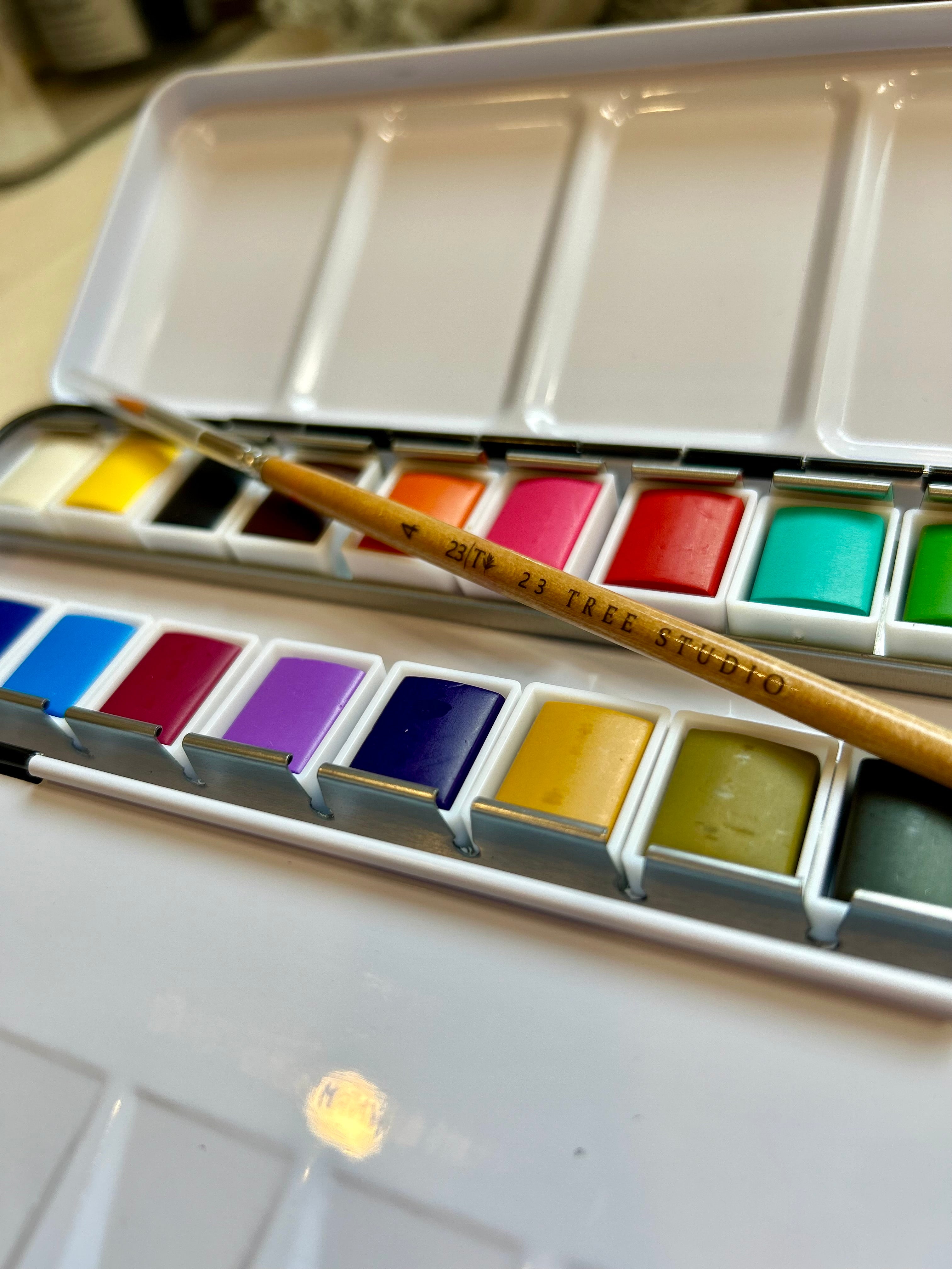 The Studio Starter Essentials 24 Set